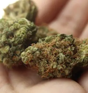 How Much Does 4.5 Grams Of Weed Cost