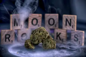 fake moon rock weed