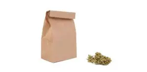 curing bud in a paper bag